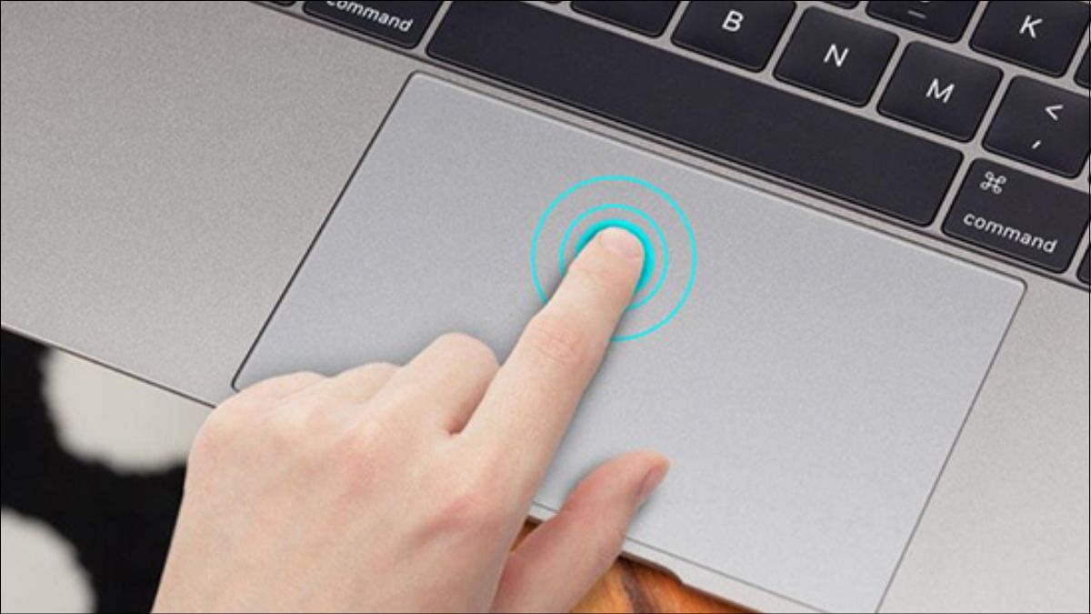 Trackpad trên MacBook được đánh giá là tốt nhất