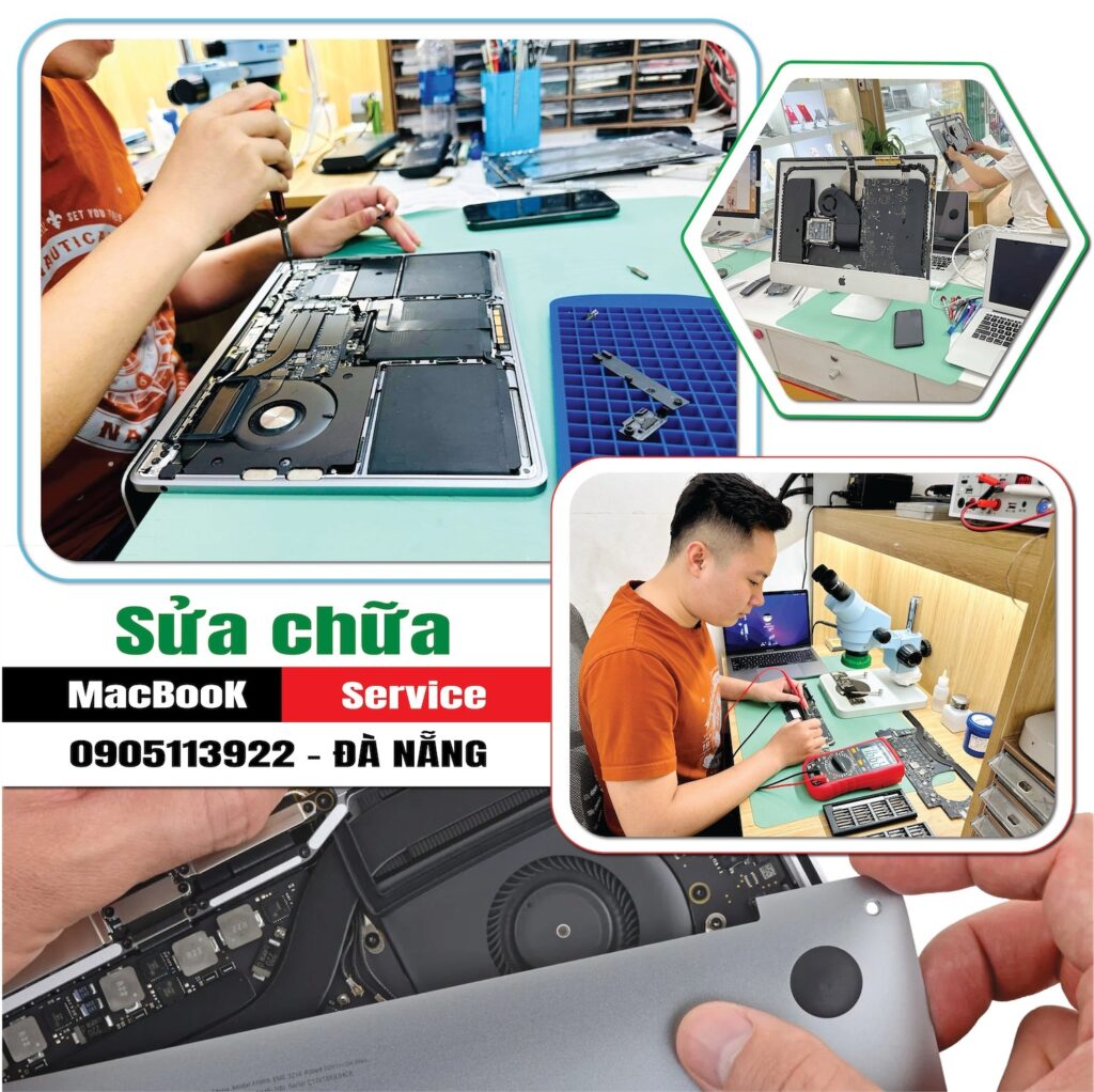 337431632 1013776530027312 7858179207085663279 n